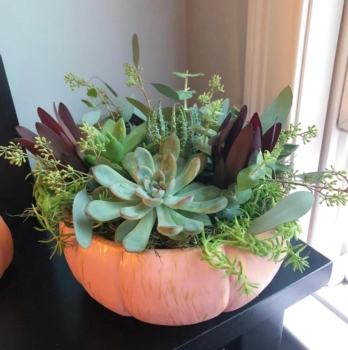 Ceramics and Succulents Centerpiece