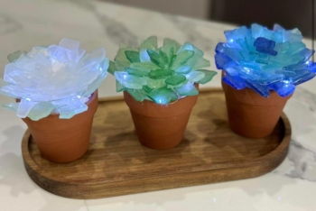 Light Up Glass Succulents