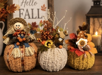 The Chunky Pumpkin Experience