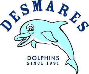 Desmares Community Paint Party