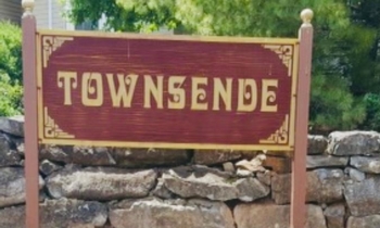 Townsende Ladies Night Out