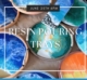 Resin Pour Trays in vibrant colors of choice