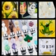 Ladies Night Out, Wine Glass Painting, Bottle Stopper Making and Snacks